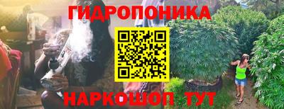 эйфоретик Кандалакша