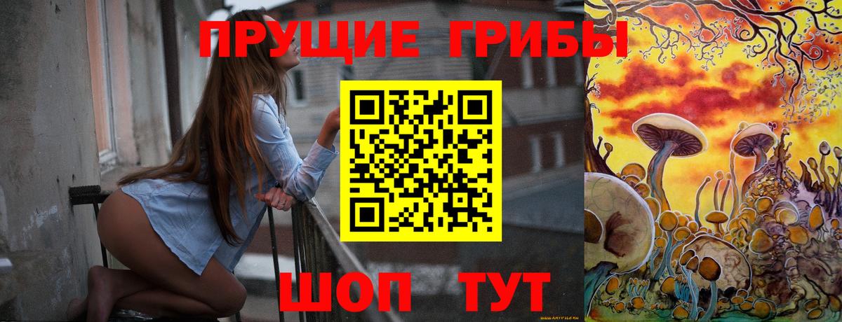 Кулебаки  Псилоцибиновые грибы Psilocybe  Вход с VPN 