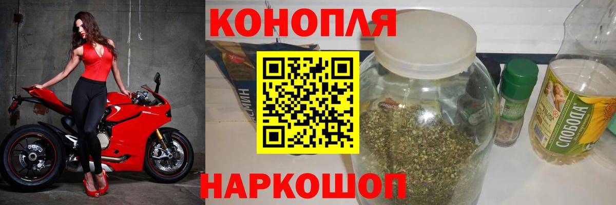 Бошки Шишки семена Кулебаки